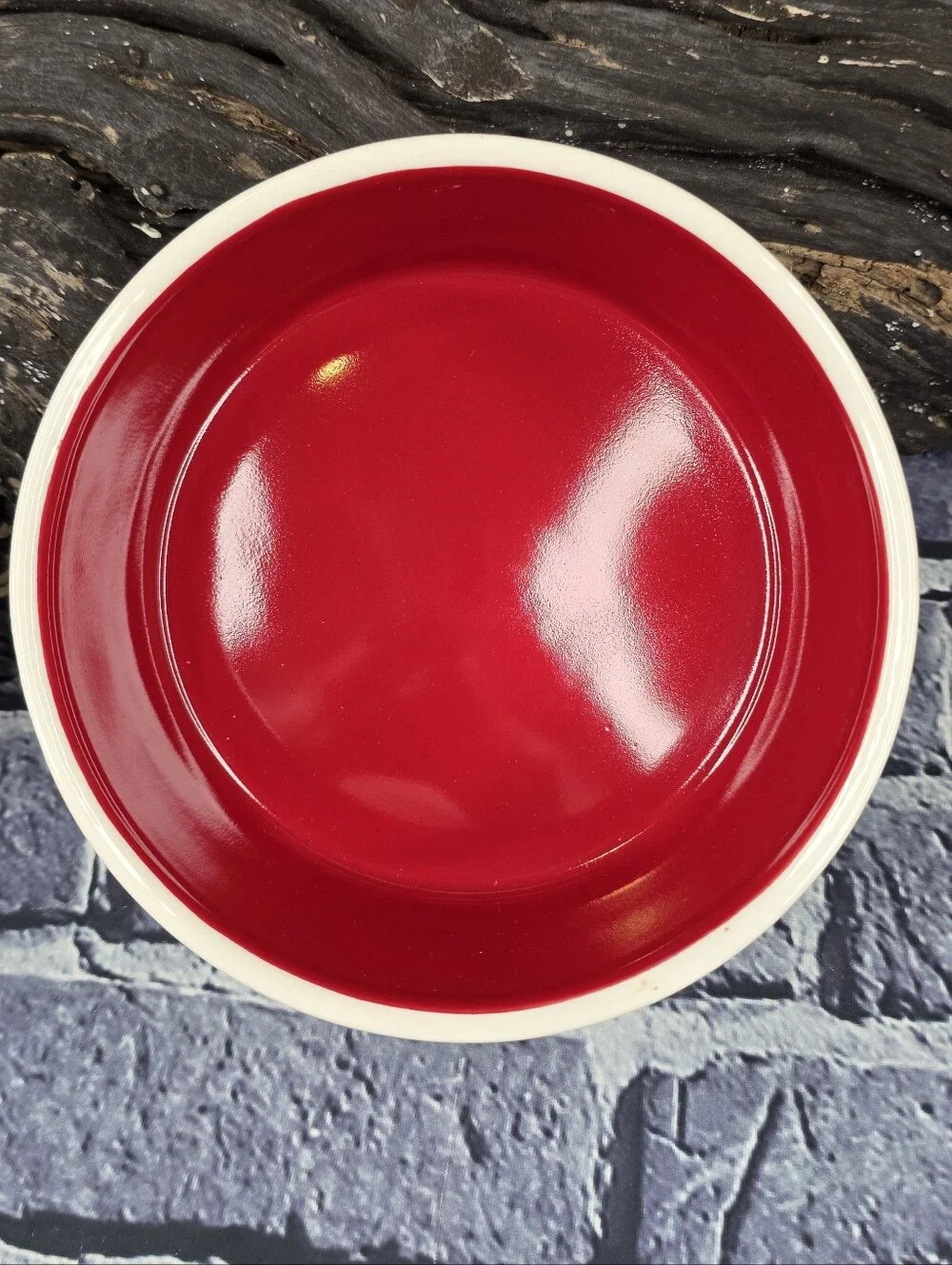 Rae Dunn DRINK UP Ceramic Pet Water Bowl – Red & White